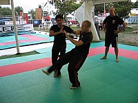 mich380 (6).JPG